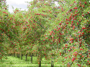 �(q��)�B(ni��o)�����ڙ��҈@