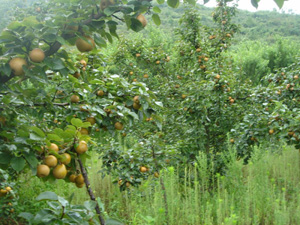 �(q��)�B(ni��o)��������@